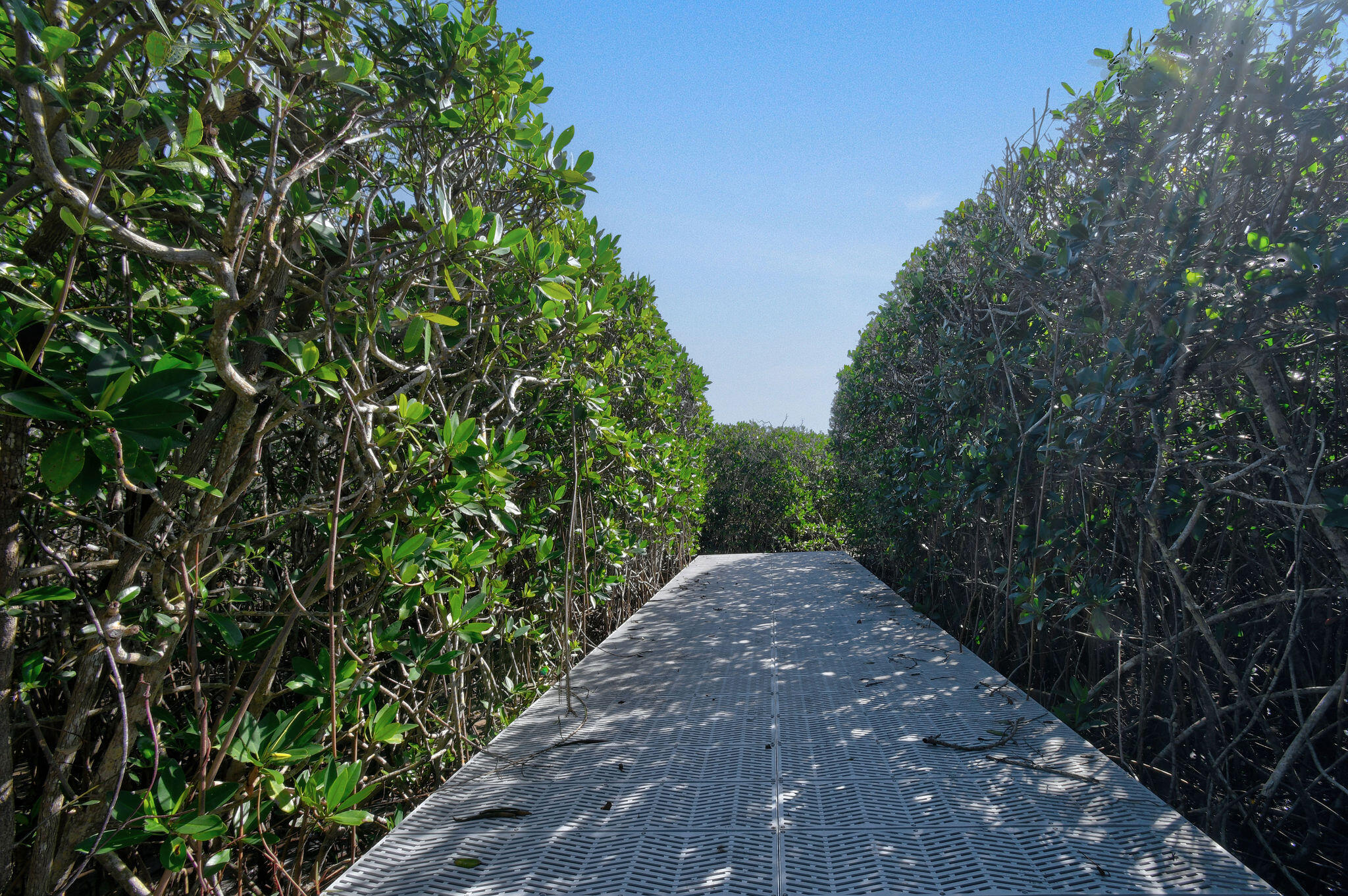 104 Intracoastal, Tequesta FL 33469