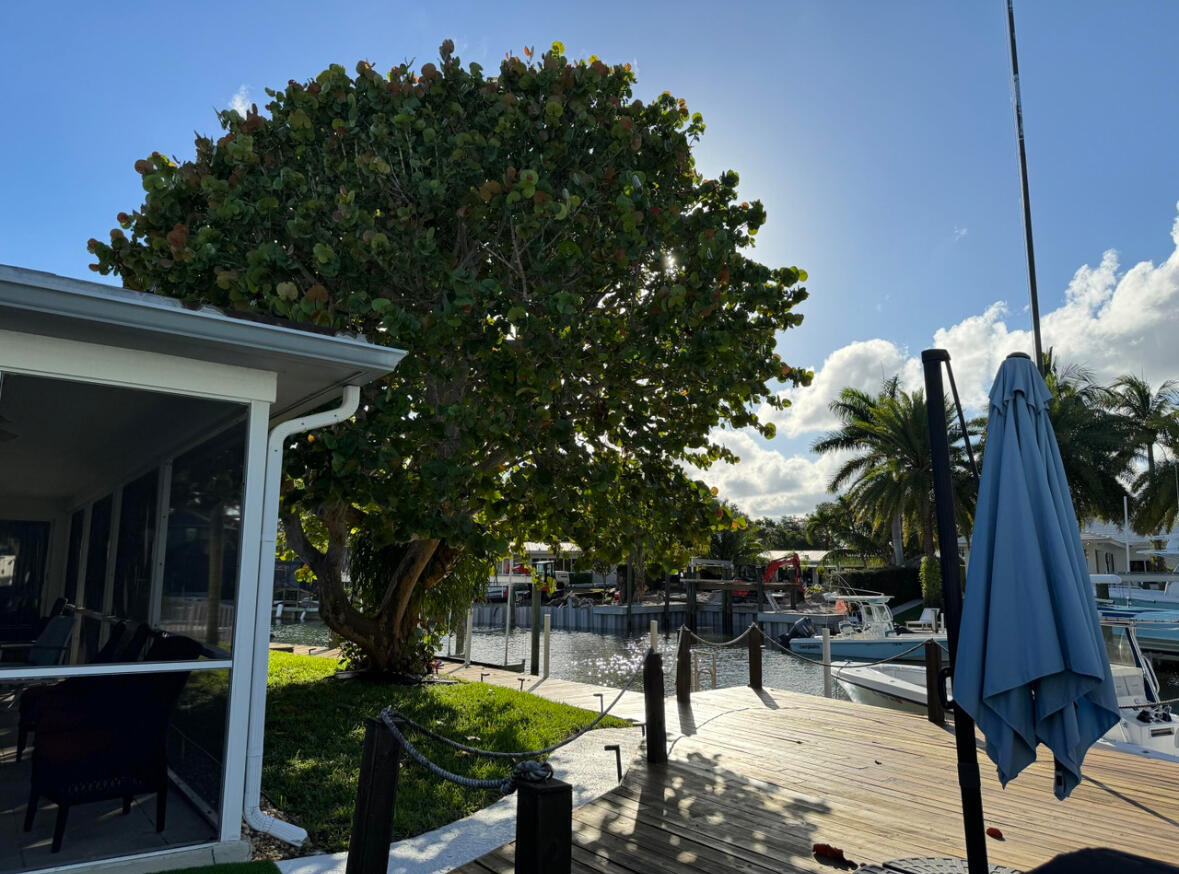 954 Marlin, Jupiter FL 33458