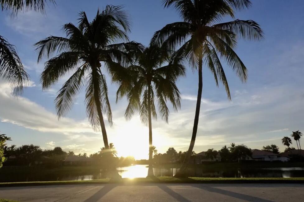 2006 Tigris, West Palm Beach FL 33411