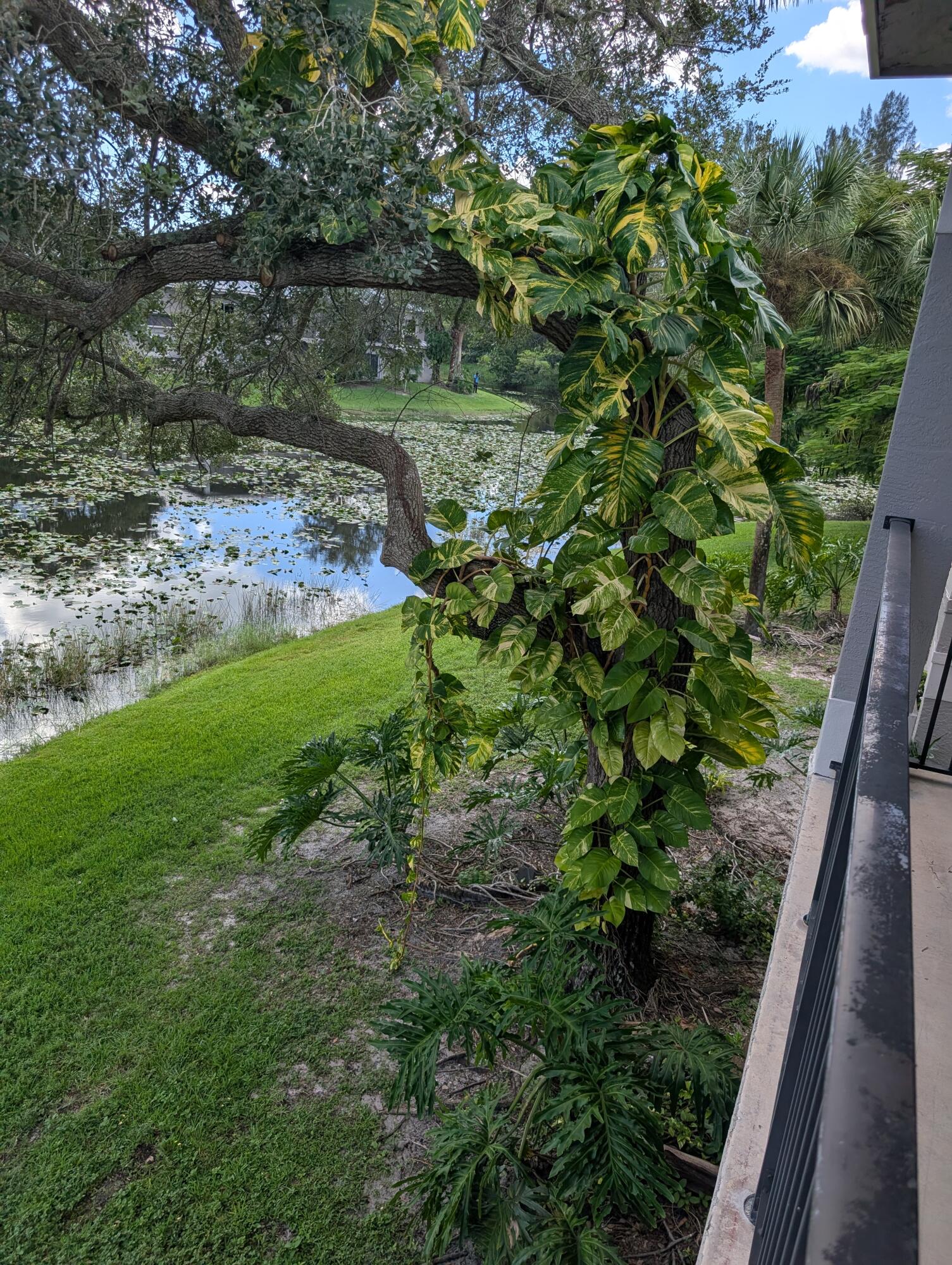 280 CRESTWOOD #205, Royal Palm Beach FL 33411