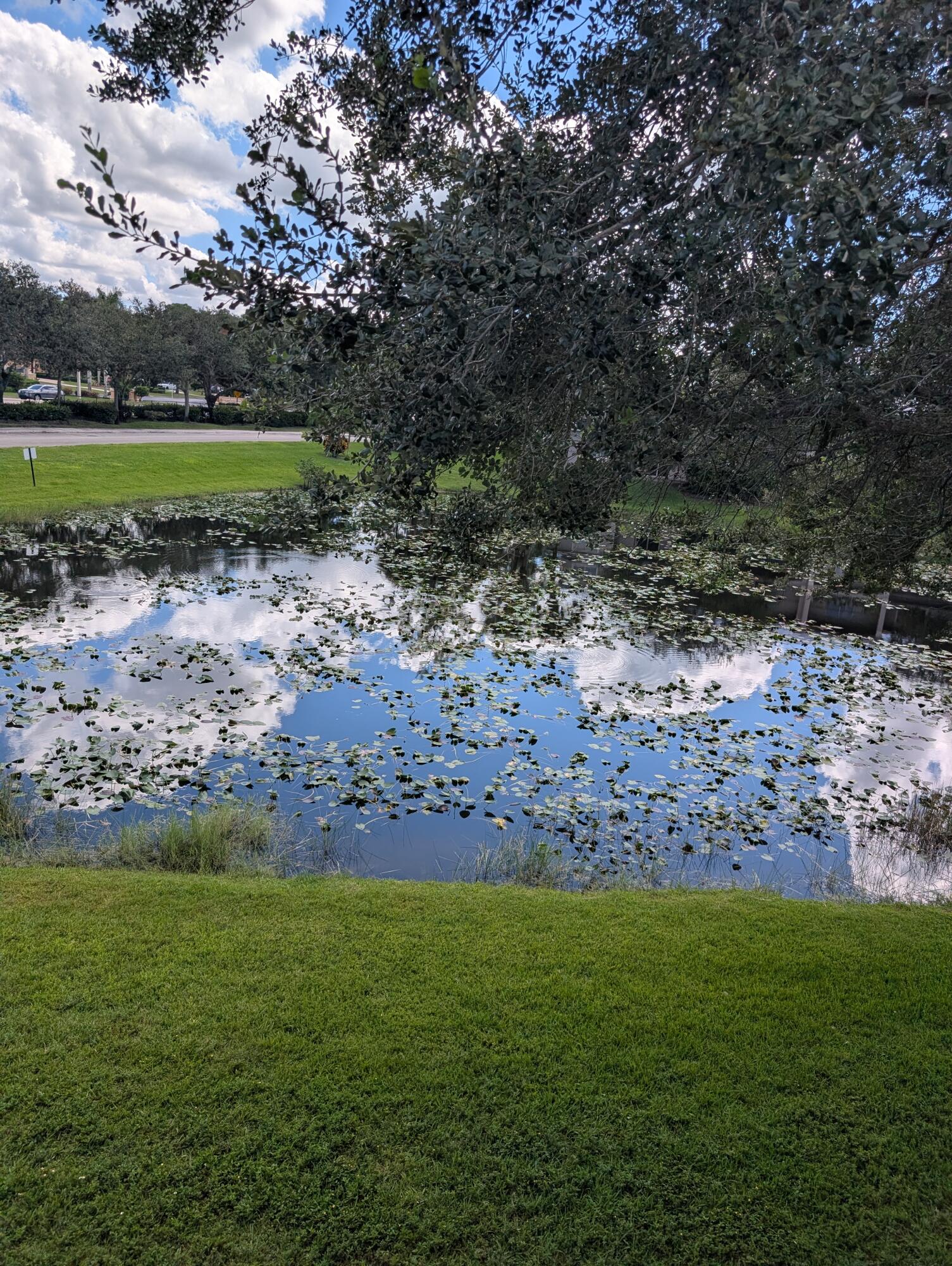 280 CRESTWOOD #205, Royal Palm Beach FL 33411