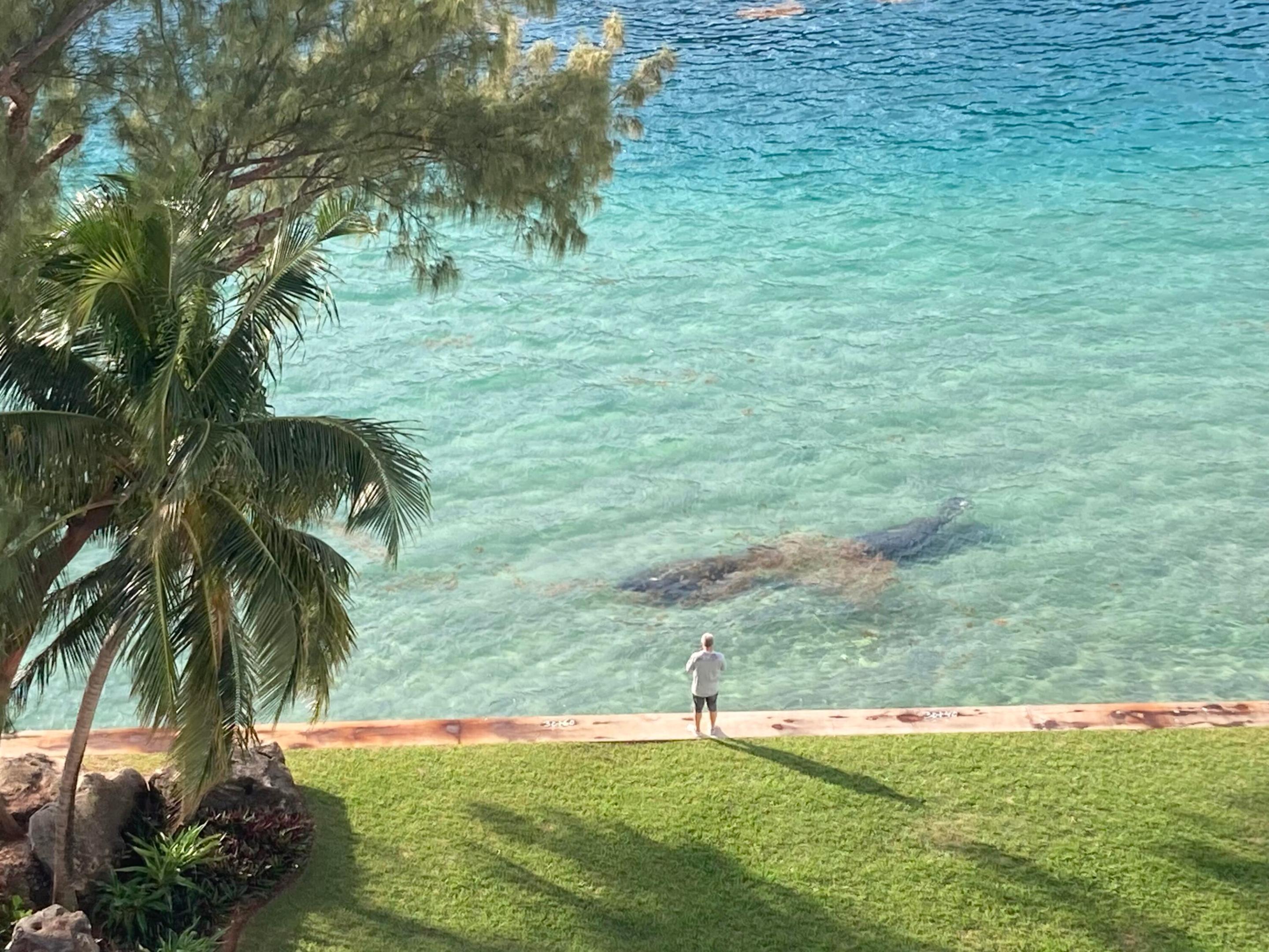 2100 S OCEAN #9M, Fort Lauderdale FL 33316