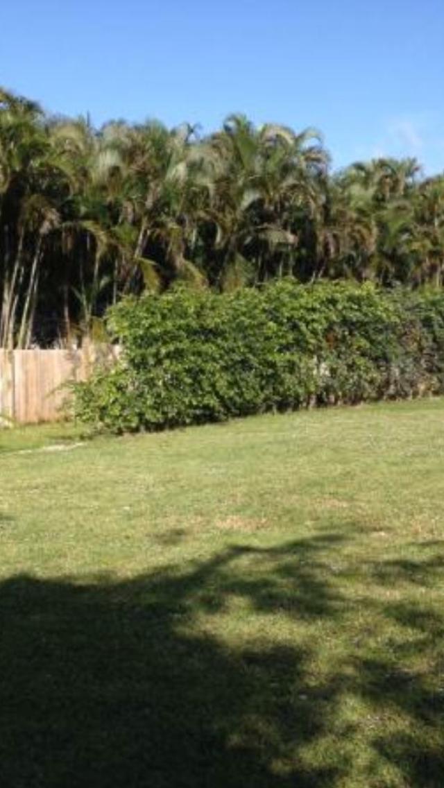 1975 Palm Acres, Palm Springs FL 33406