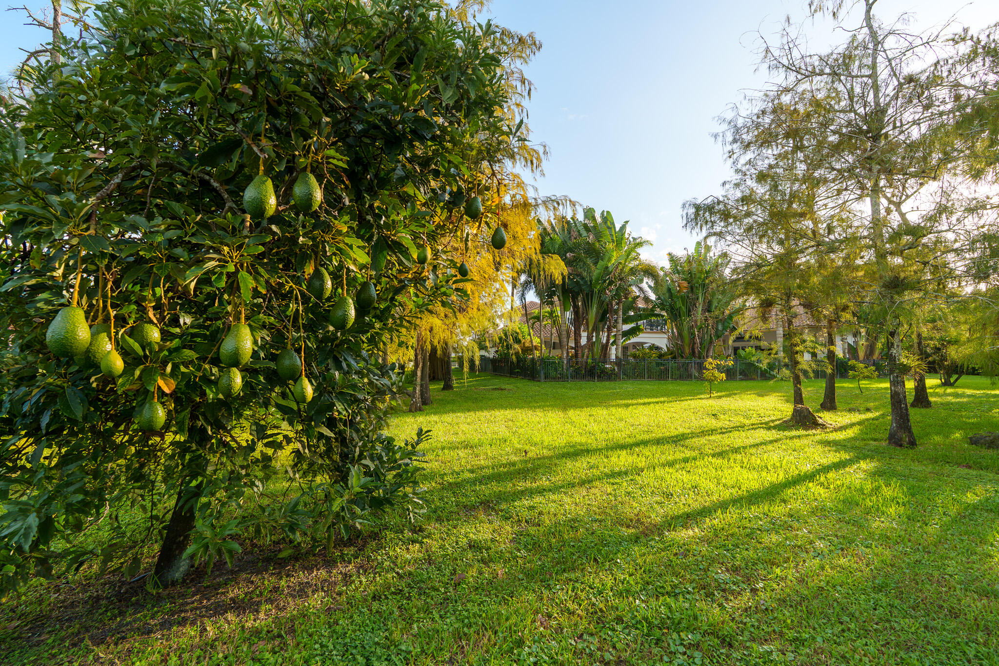 14623 HALTER, Wellington FL 33414