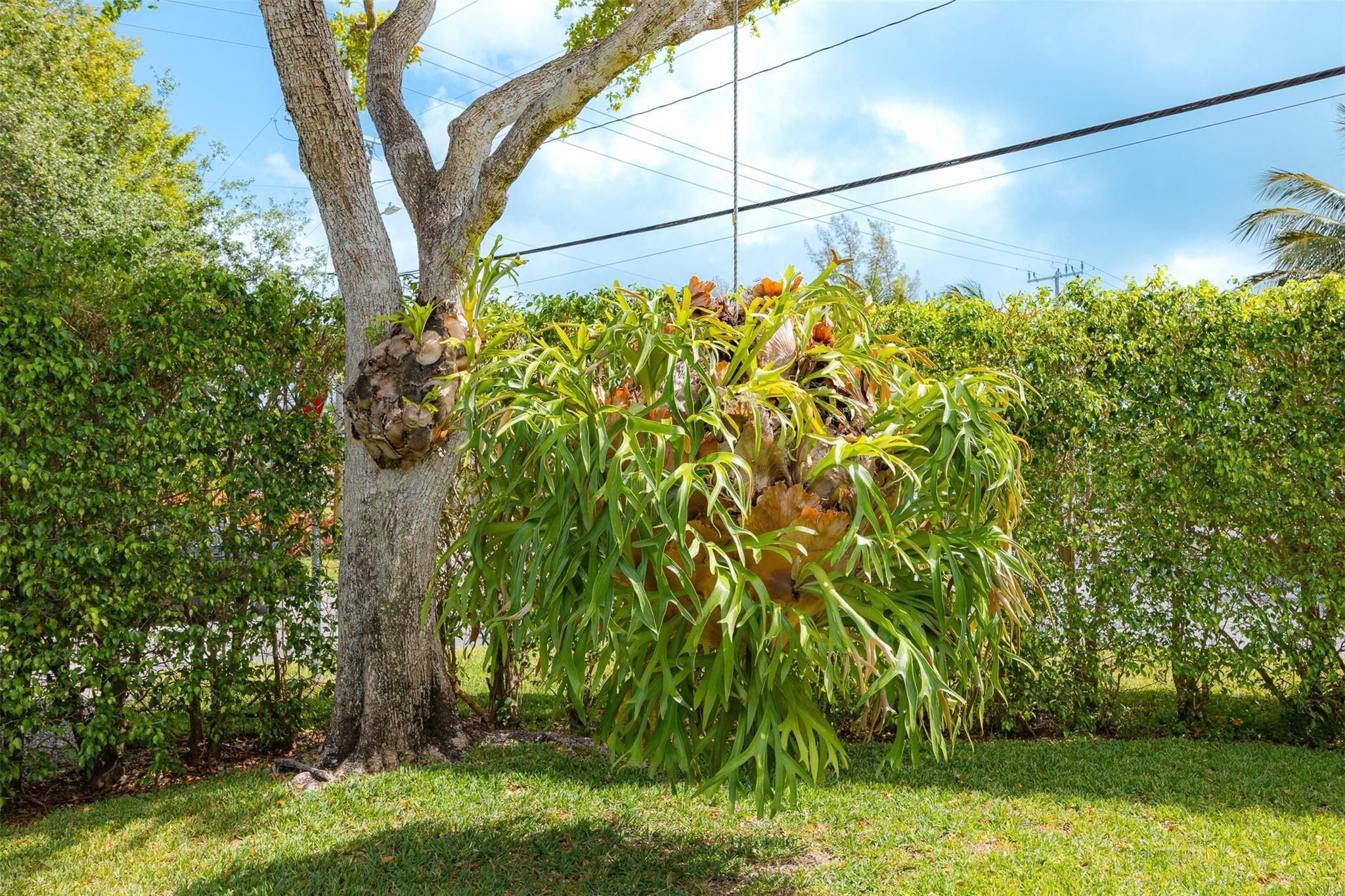 1924 NE 18th, Fort Lauderdale FL 33305