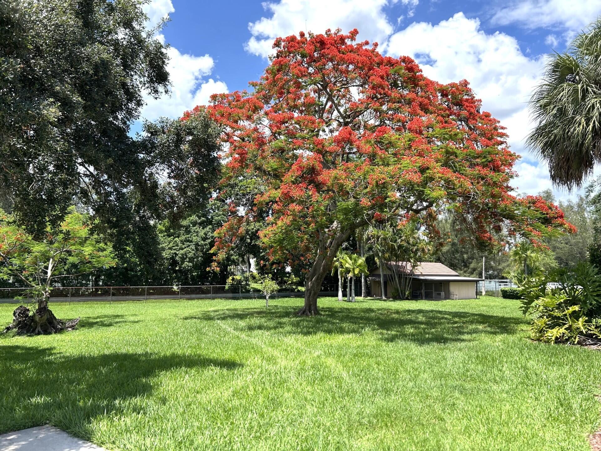 6200 SW 183rd, Southwest Ranches FL 33331