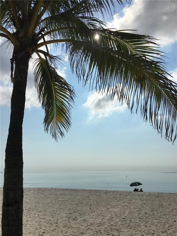 1770 E Las Olas #204, Fort Lauderdale FL 33301