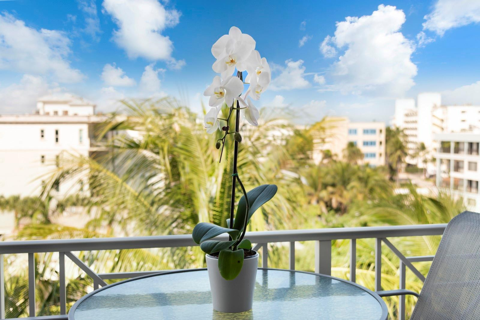 701 SE 21st #502, Deerfield Beach FL 33441