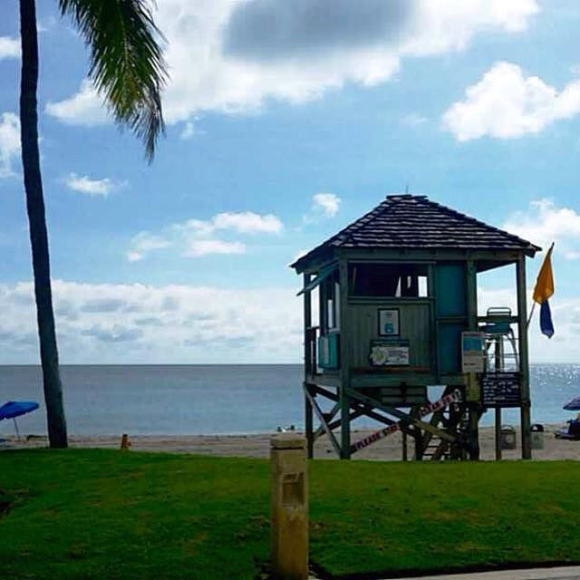 556 SE 15th, Deerfield Beach FL 33441