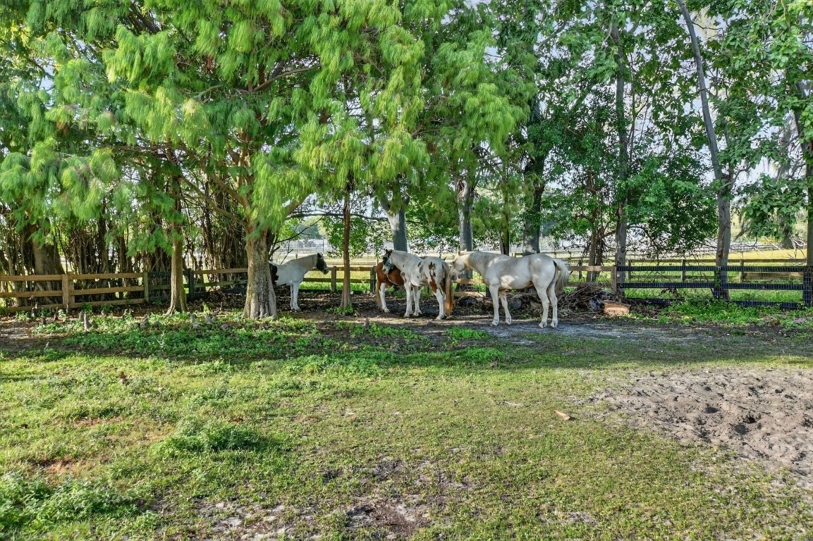 8233 Stagecoach, Boca Raton FL 33496
