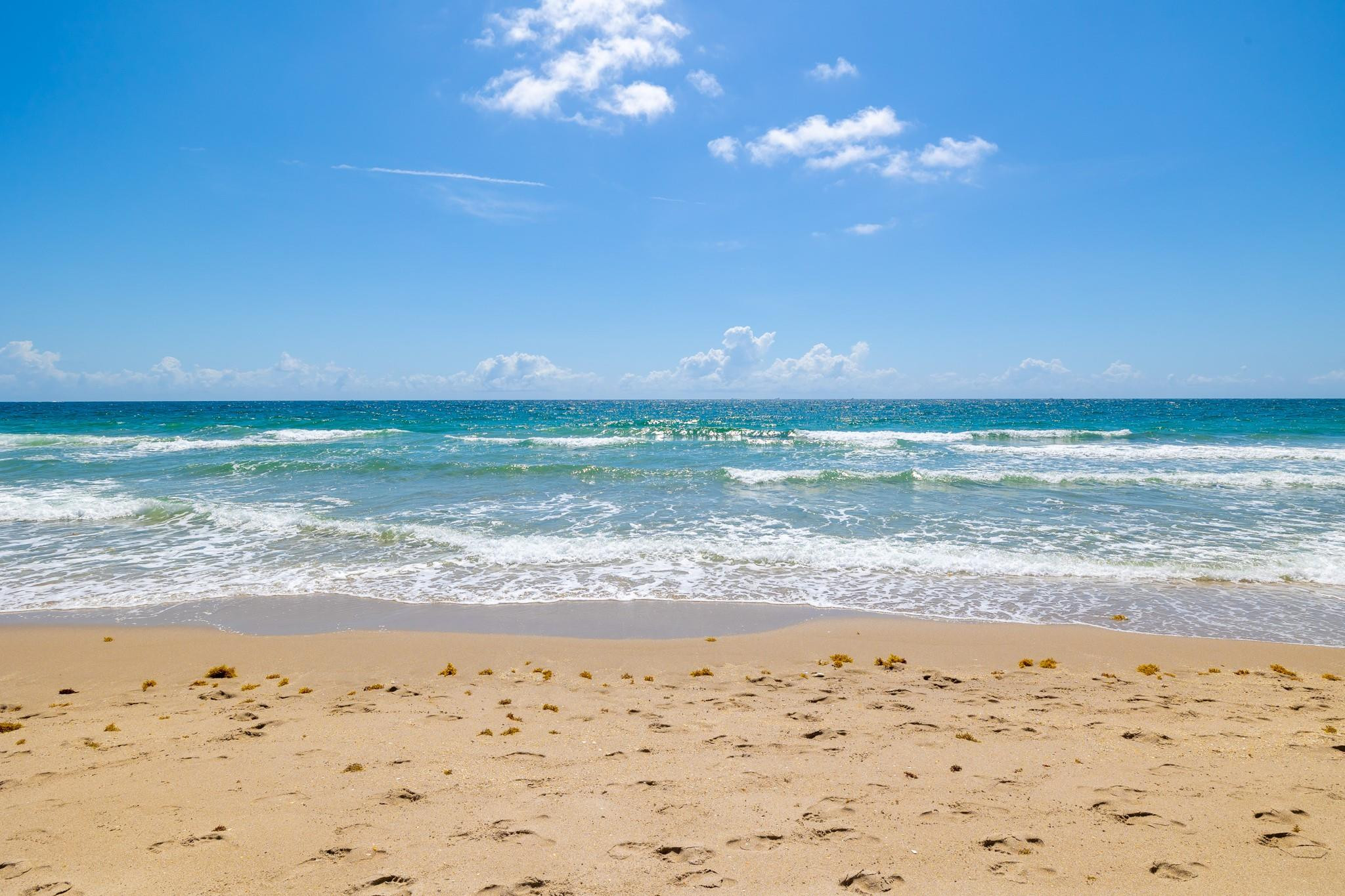 1620 S Ocean #5m, Lauderdale By The Sea FL 33062