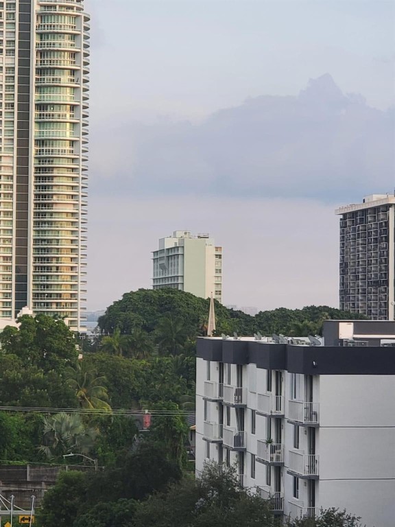201 SW 17th #704, Miami FL 33129