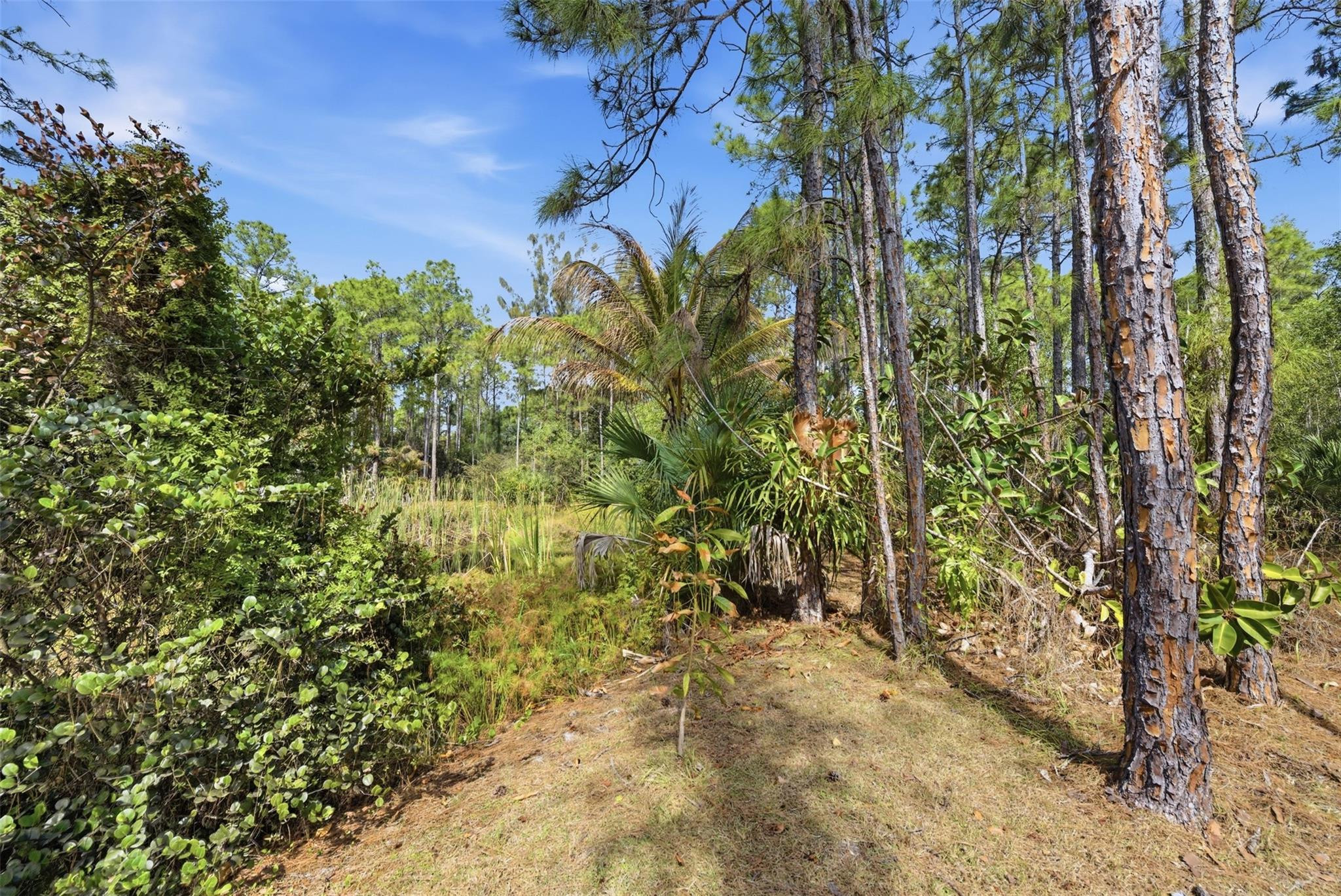 14142 Peace River, Palm Beach Gardens FL 33418