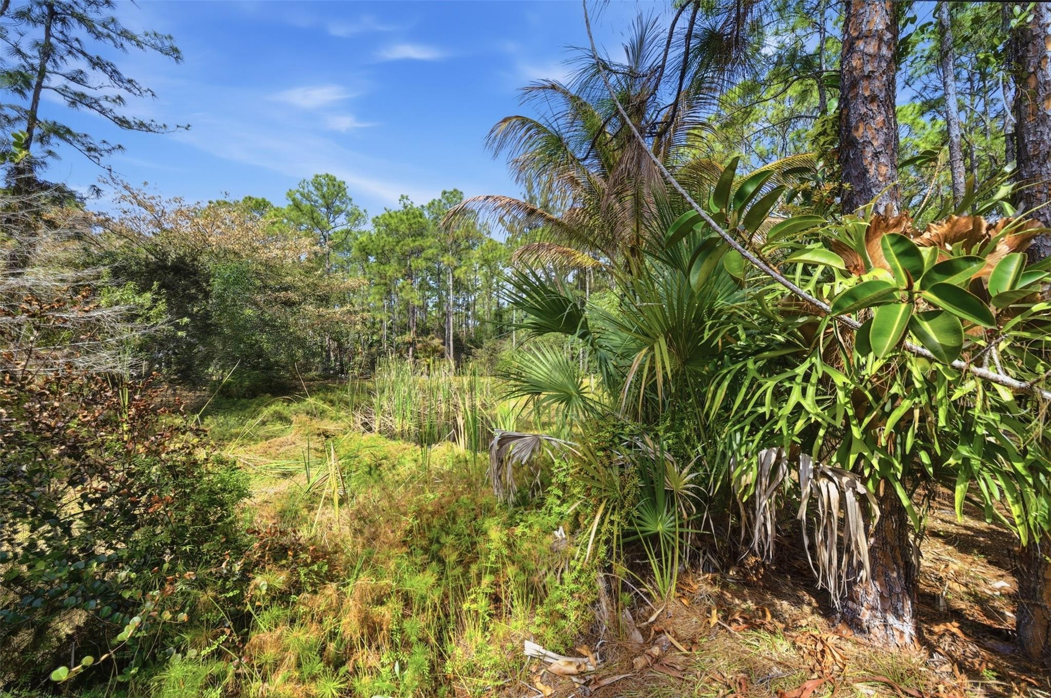 14142 Peace River, Palm Beach Gardens FL 33418