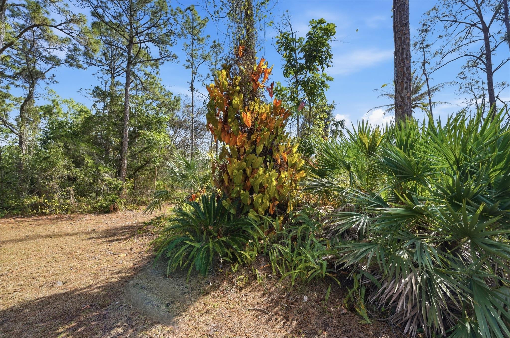 14142 Peace River, Palm Beach Gardens FL 33418