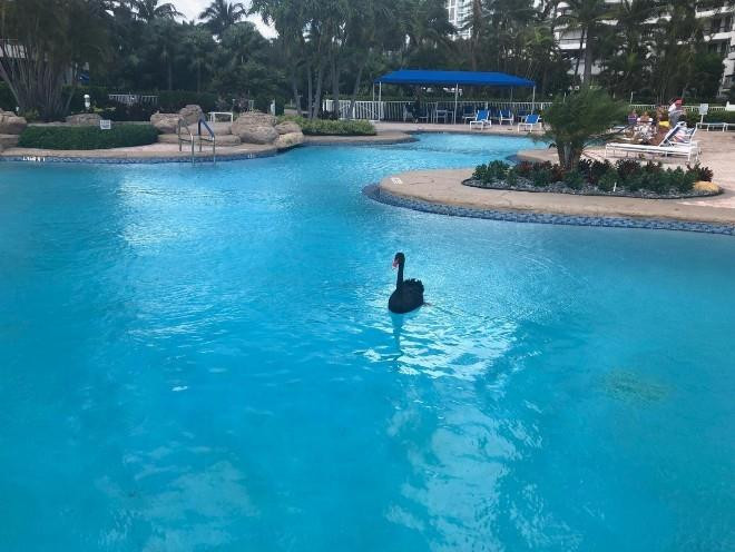 19195 NE 36th #2703, Aventura FL 33180