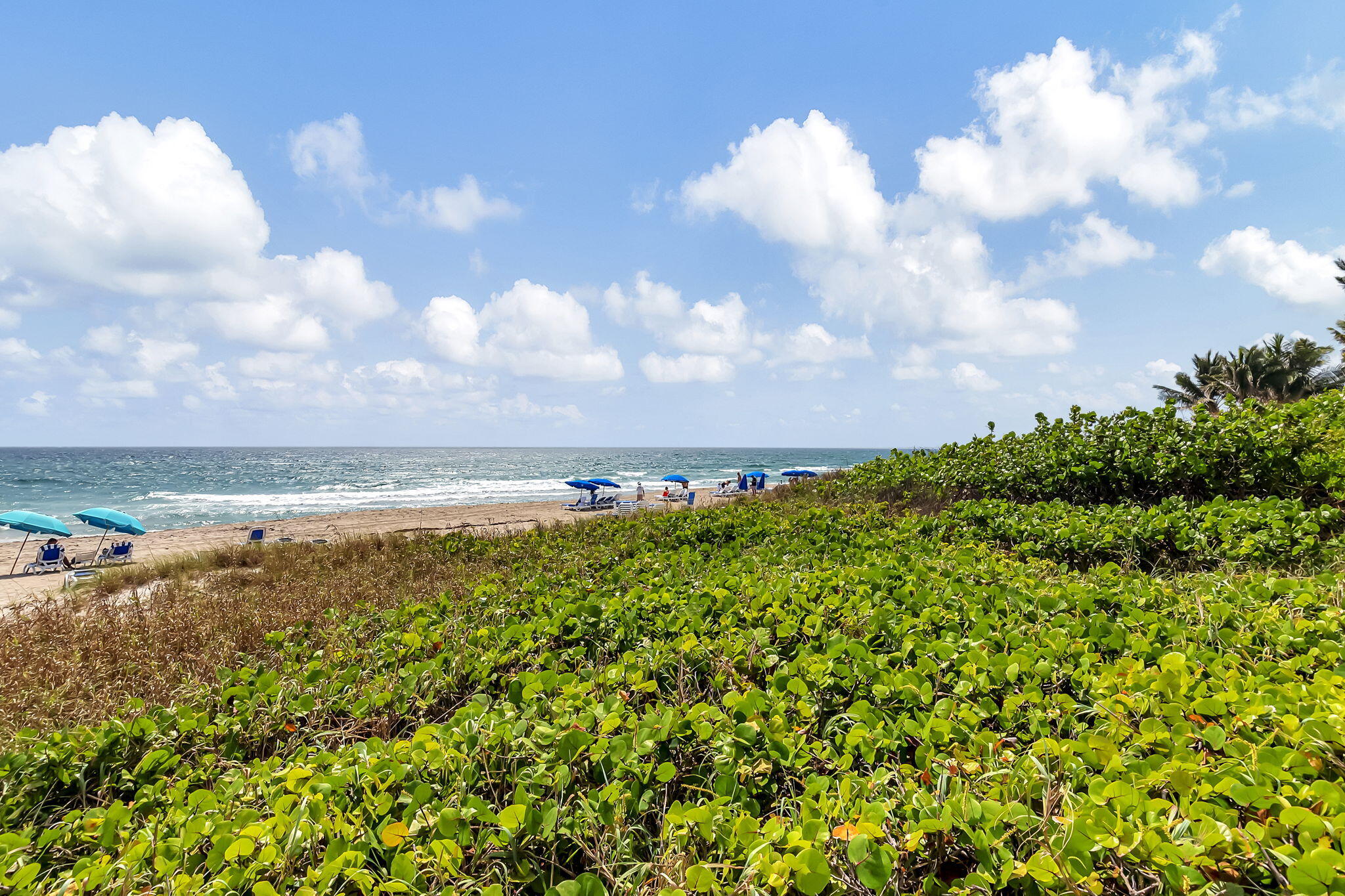 2727 S Ocean #403, Highland Beach FL 33487