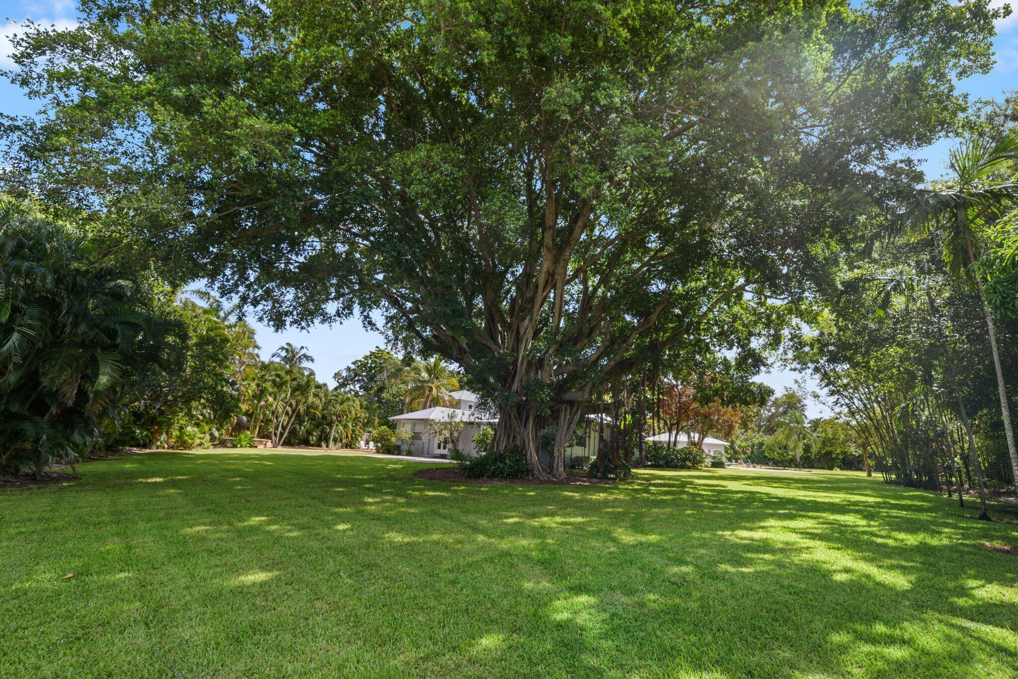 920 Hibiscus, Delray Beach FL 33444