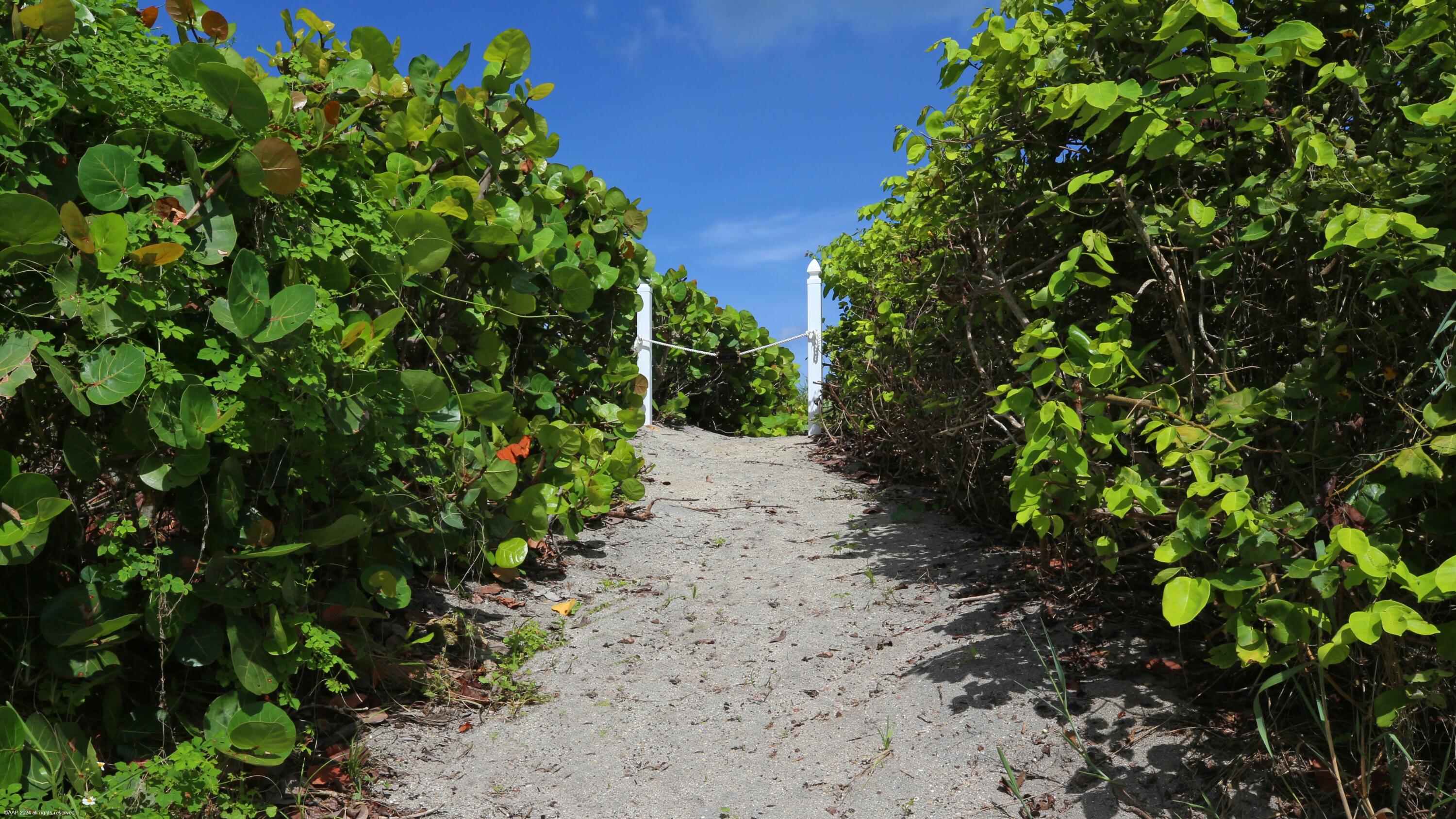 162 N Beach, Jupiter Island FL 33455