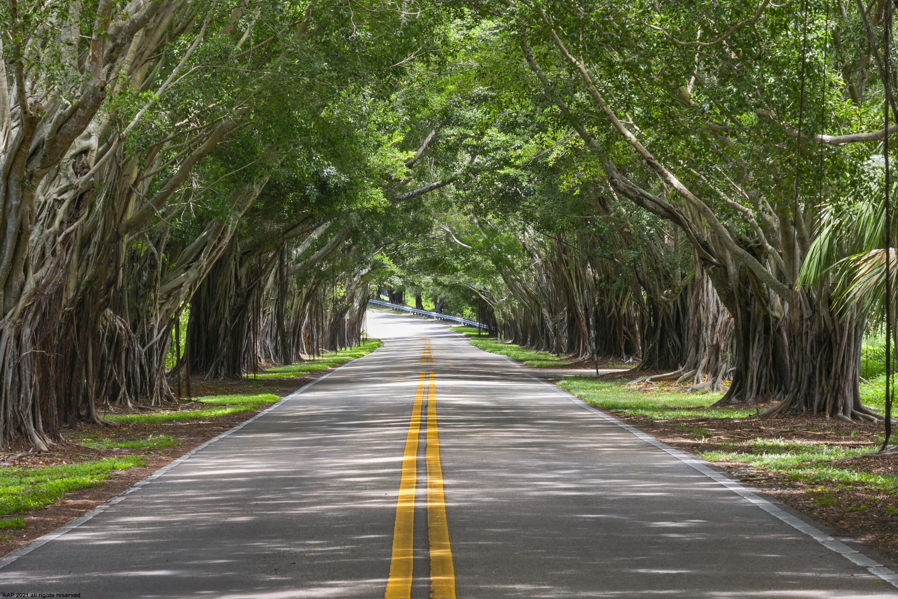 162 N Beach, Jupiter Island FL 33455