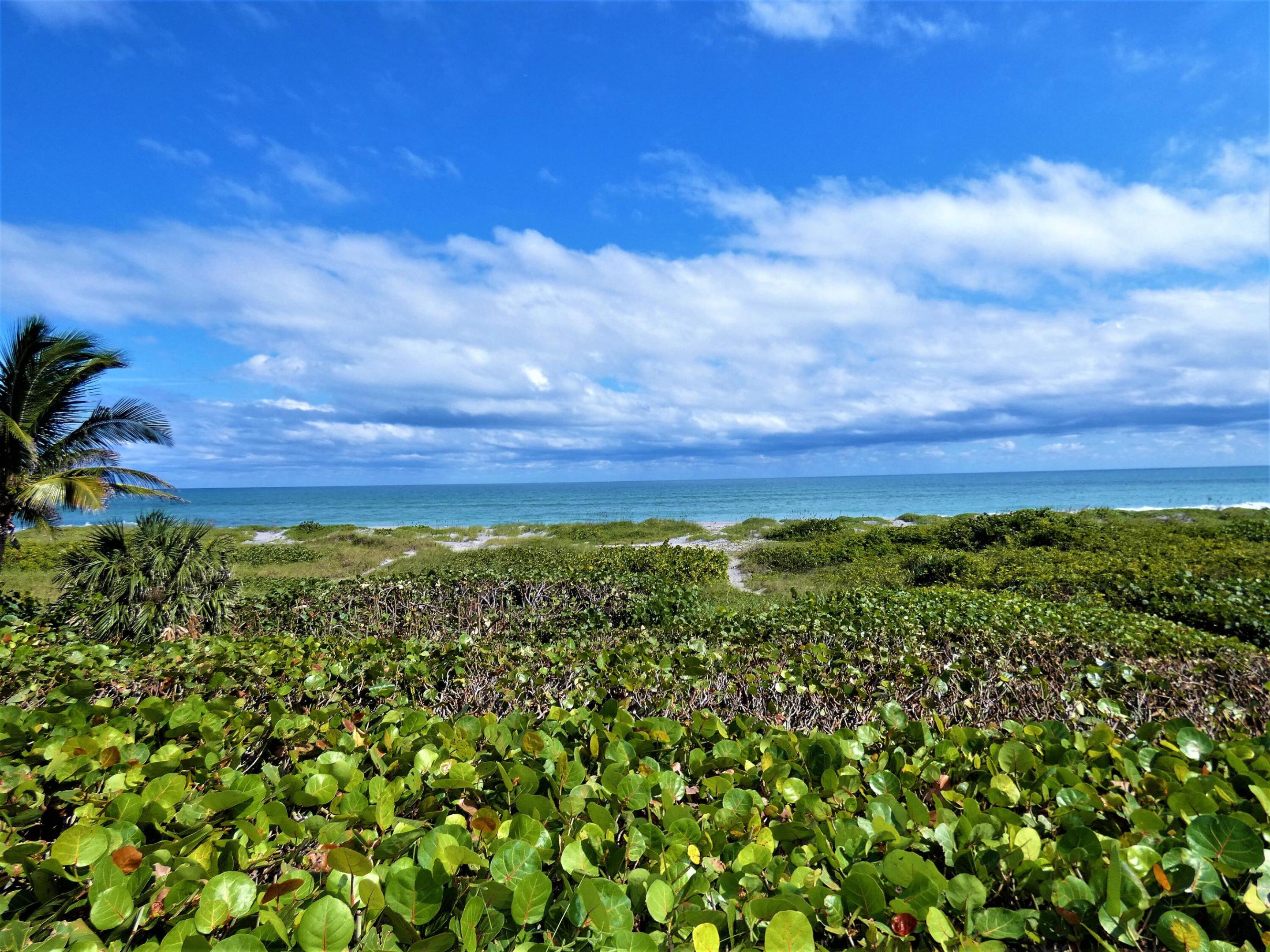 521 S Beach, Jupiter Island FL 33455