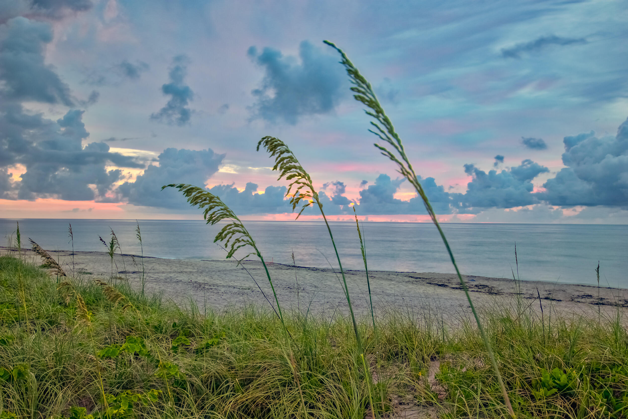 15129 Harriet, Jupiter FL 33458