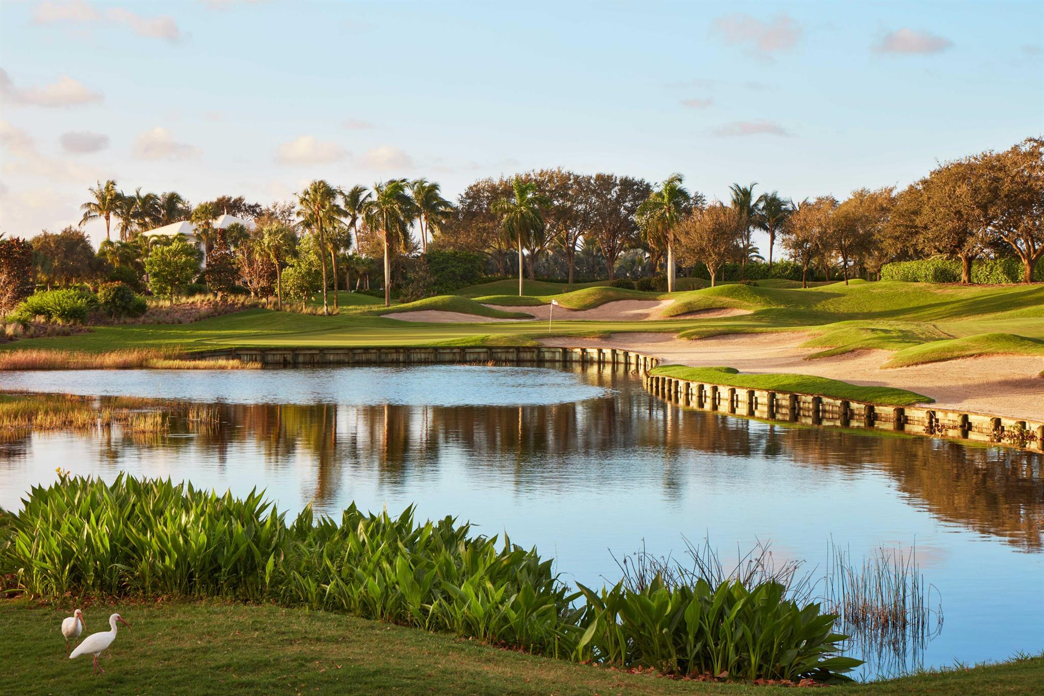 337 Eagle Drive, Jupiter FL 33477