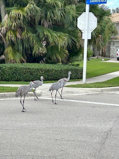 2585 San Andros, West Palm Beach FL 33411