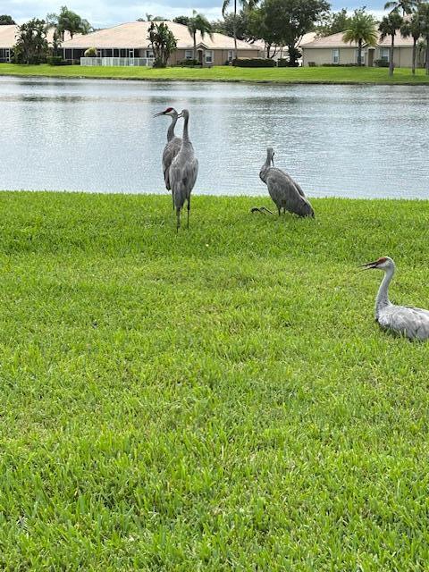 2585 San Andros, West Palm Beach FL 33411