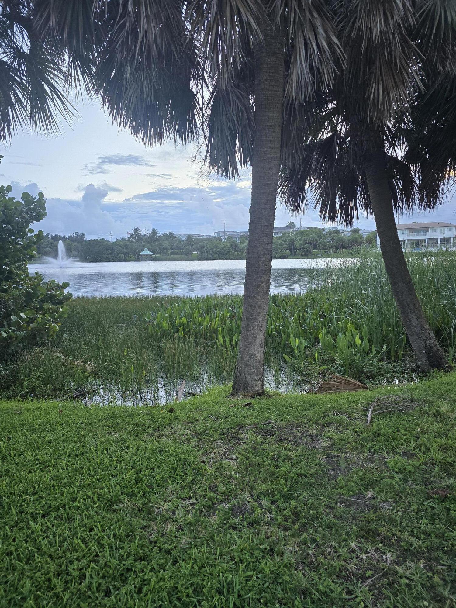 420 Celestial #204, Juno Beach FL 33408