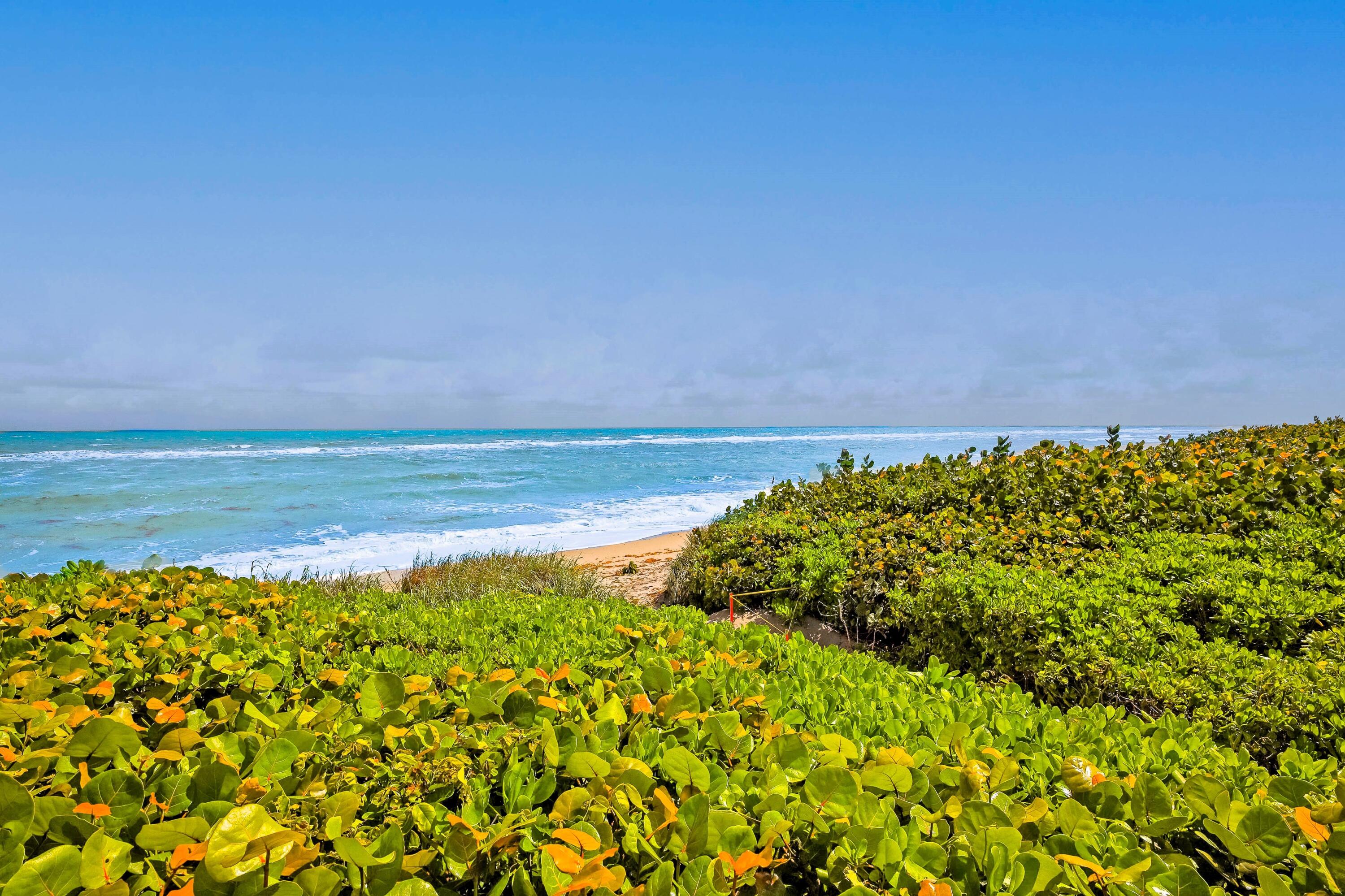 420 Celestial #204, Juno Beach FL 33408