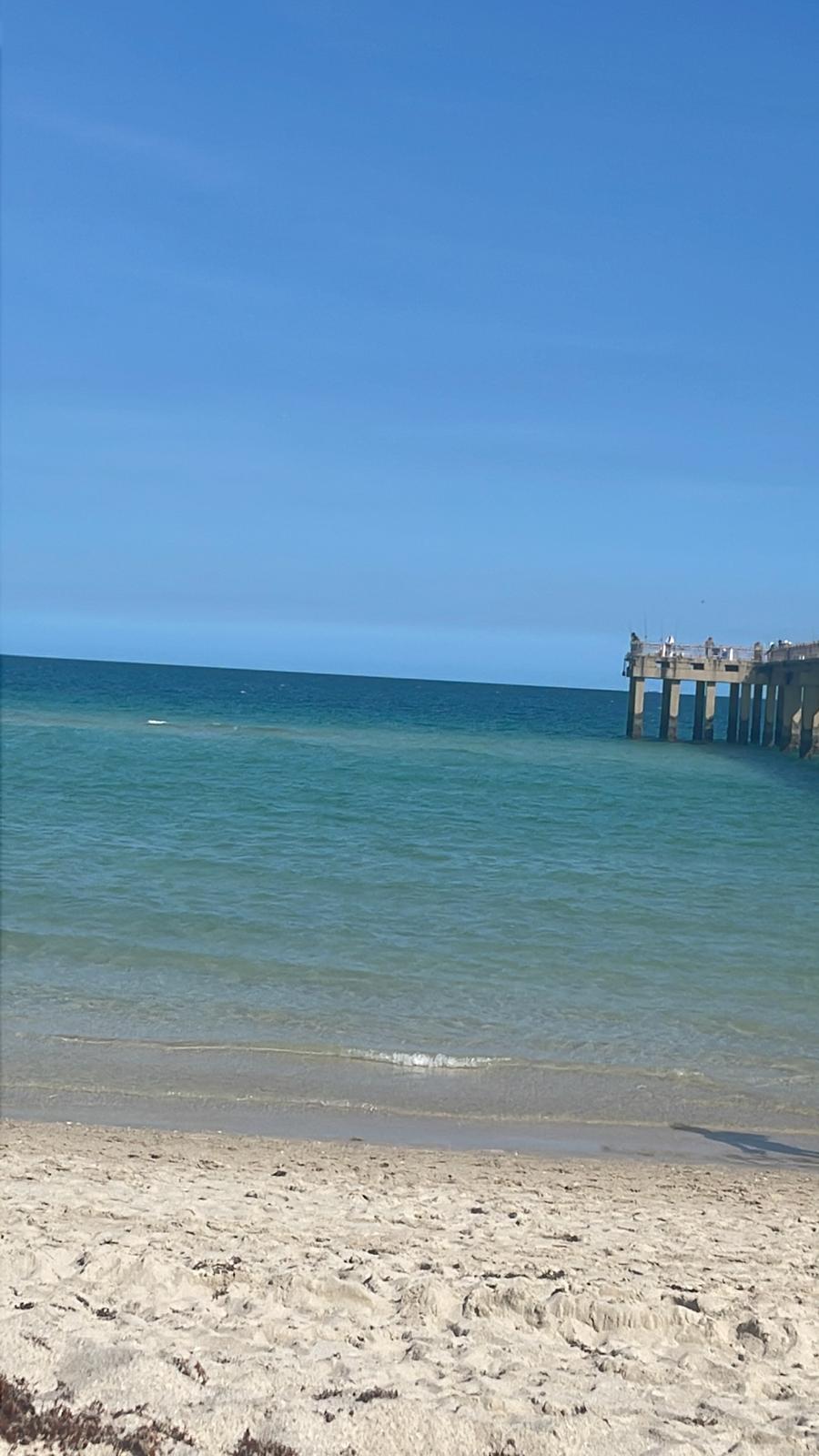 16699 Collins #1909, Sunny Isles Beach FL 33160