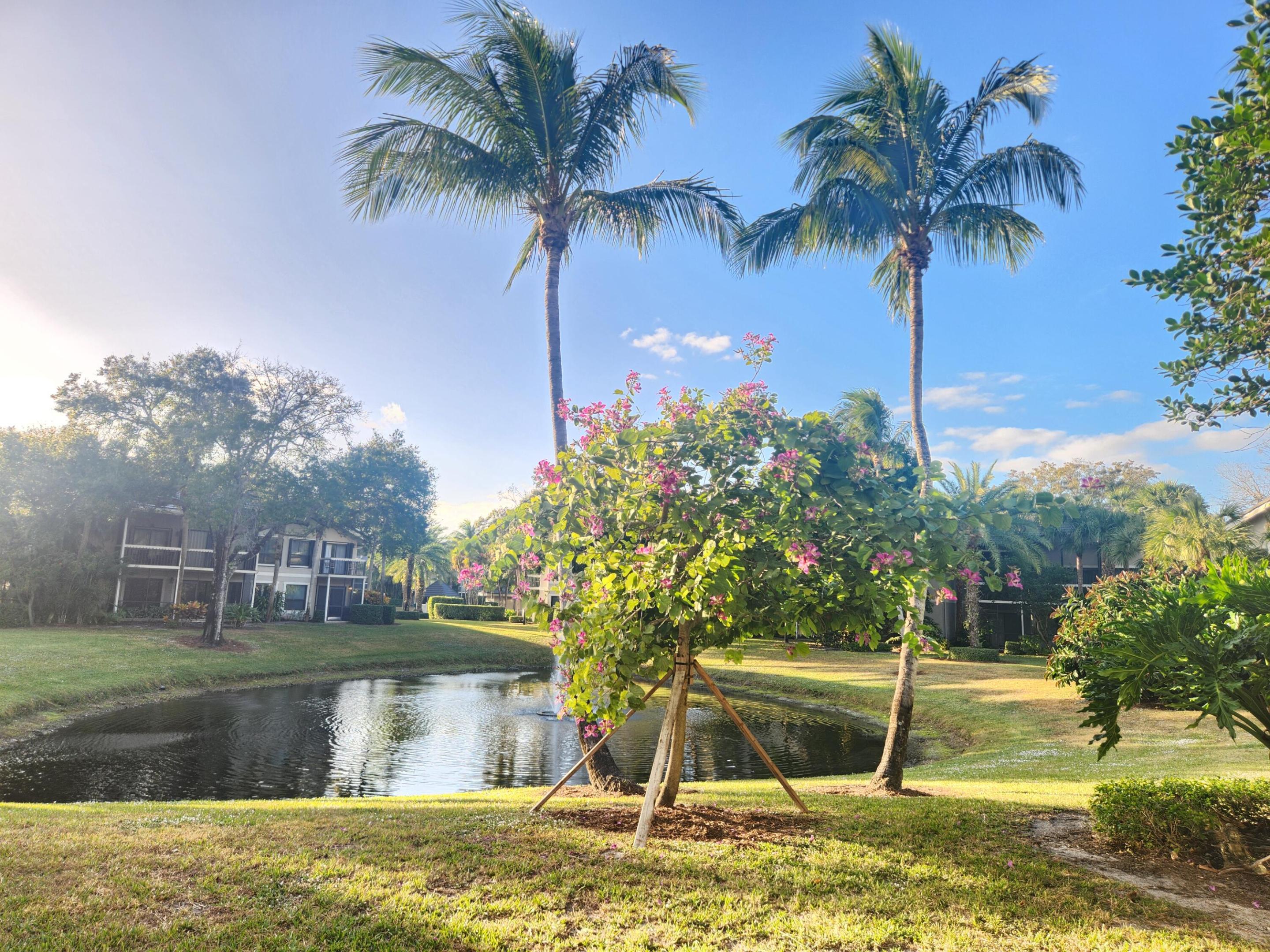 11863 Wimbledon #416, Wellington FL 33414