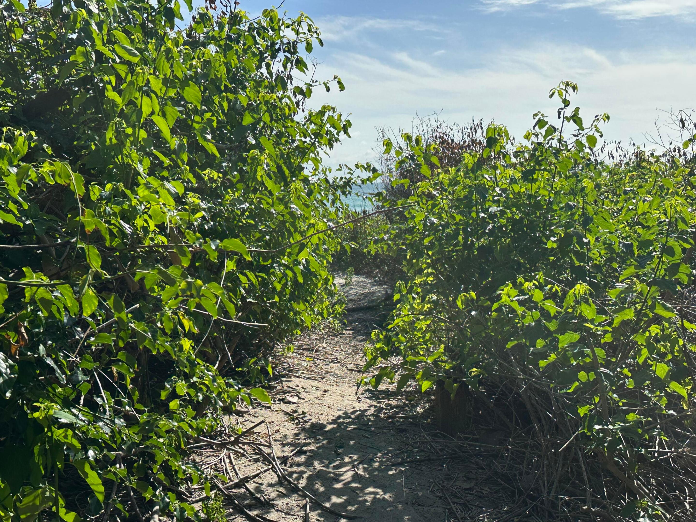 4200 N Surf, Hollywood FL 33019