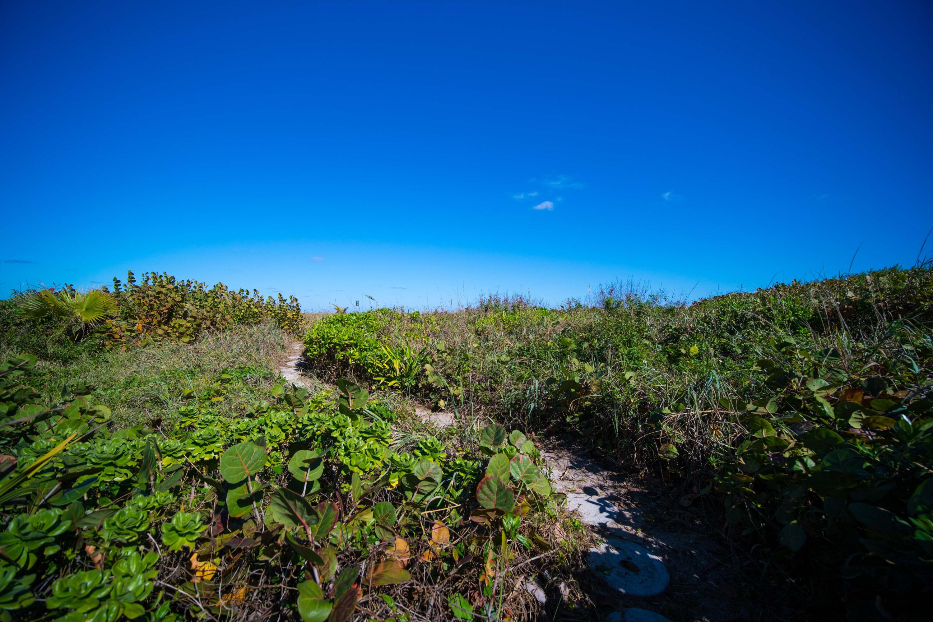 4000 S Ocean, Lantana FL 33462