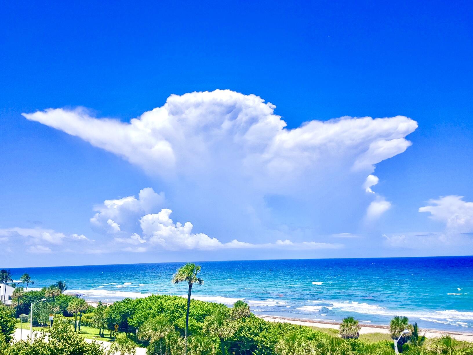 4101 N Ocean #1604, Boca Raton FL 33431