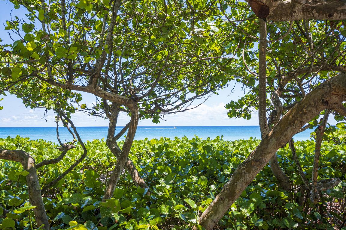 4558 Mediterranean, Palm Beach Gardens FL 33418