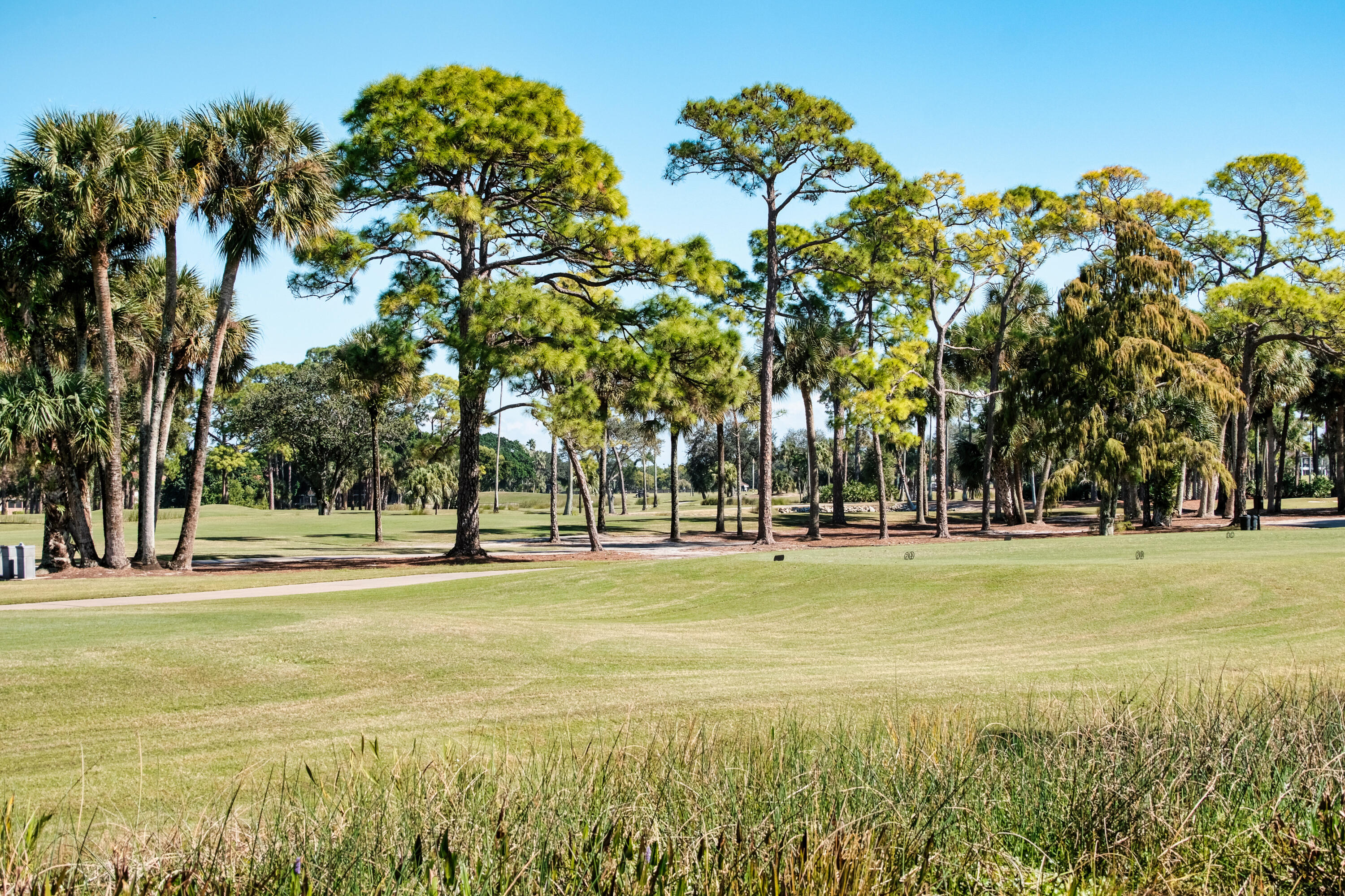 305 Ryder Cup, Palm Beach Gardens FL 33418