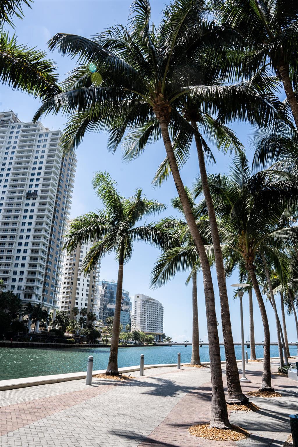 495 Brickell Avenue #4206, Miami FL 33131