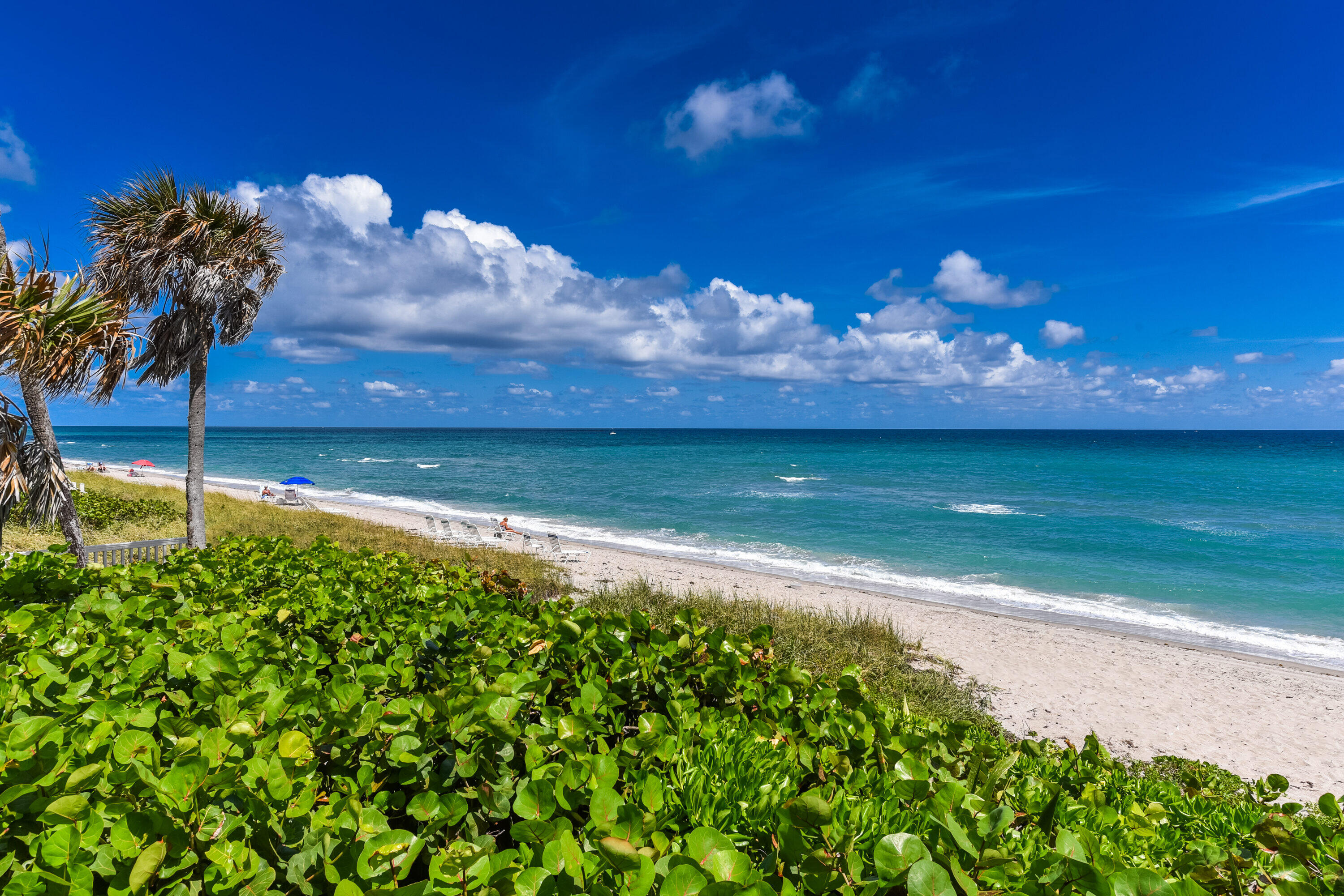 485 E Royal Palm #403, Boca Raton FL 33432