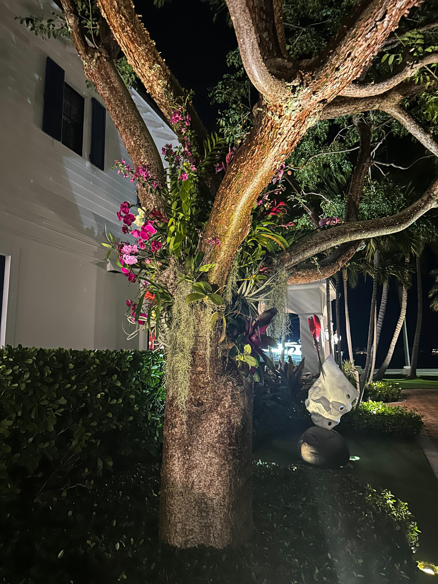 101 Palmetto, West Palm Beach FL 33405