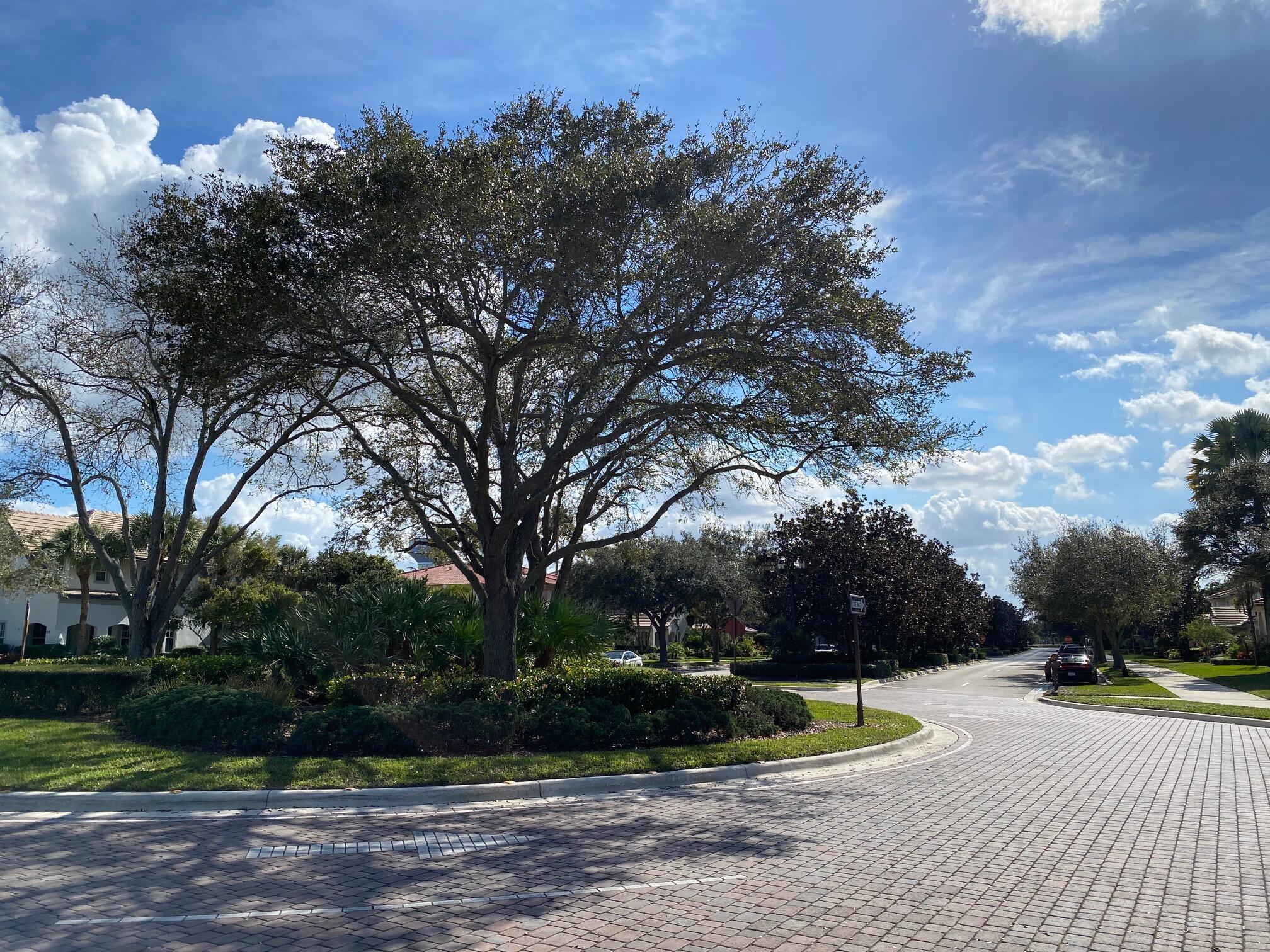 635 Castle, Palm Beach Gardens FL 33410