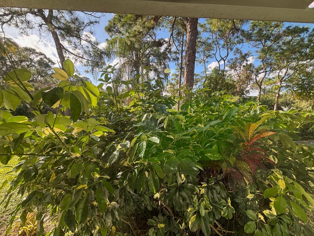 15780 78th, Palm Beach Gardens FL 33418