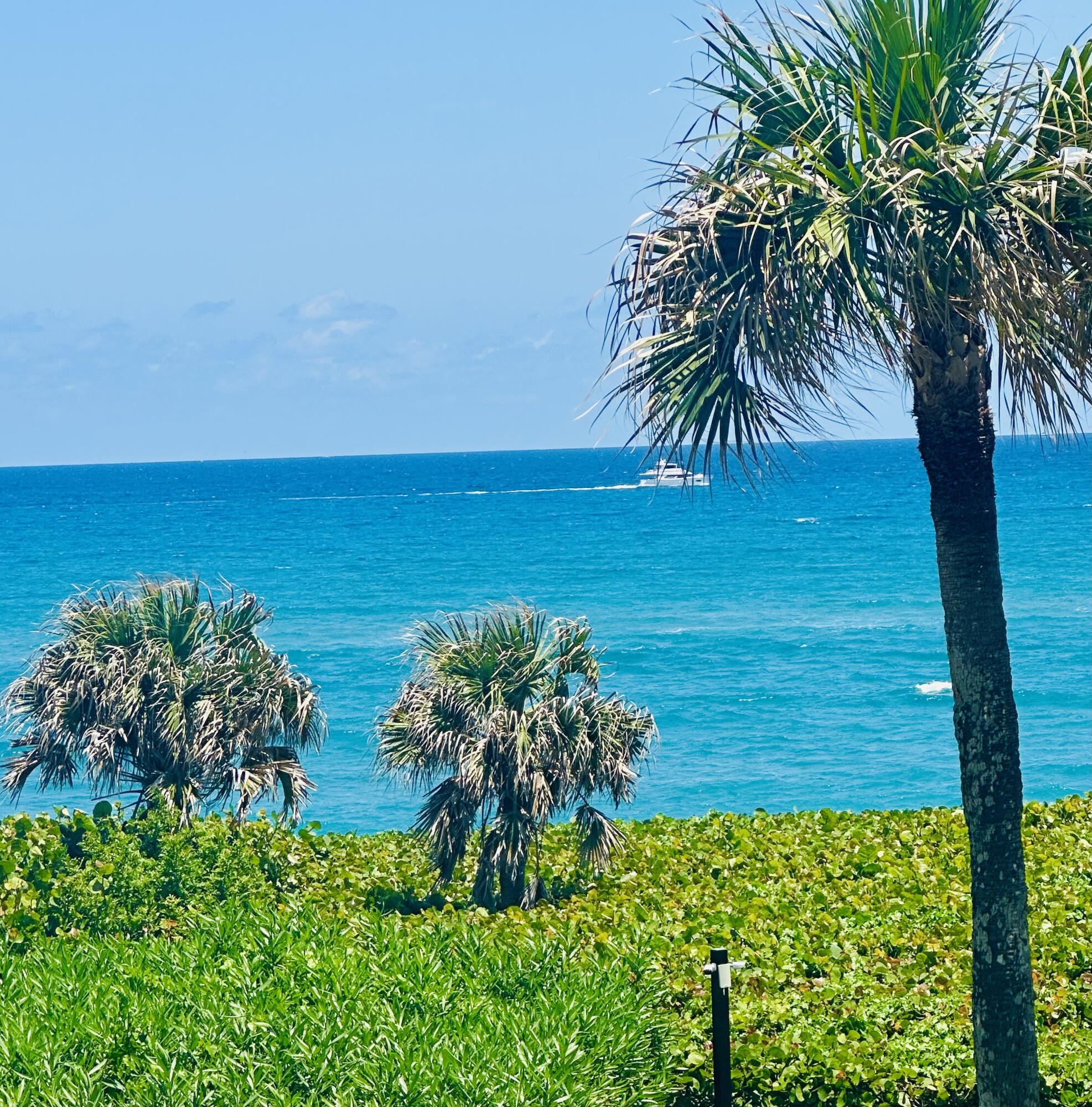 420 Celestial #301, Juno Beach FL 33408
