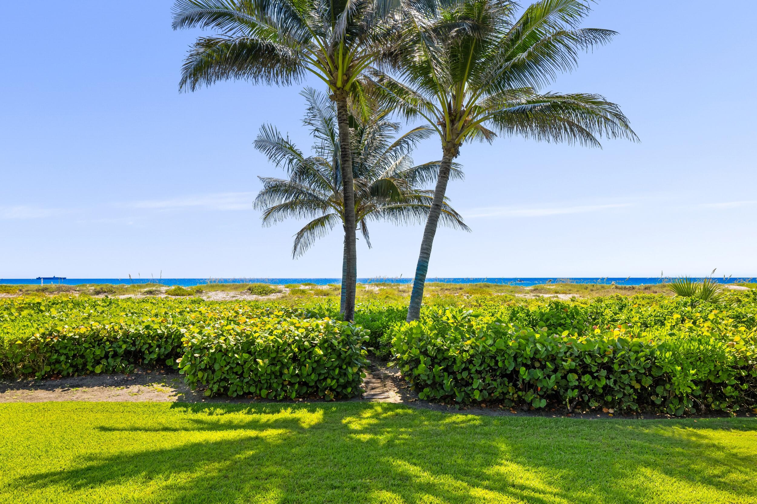 1446 N Ocean, Palm Beach FL 33480