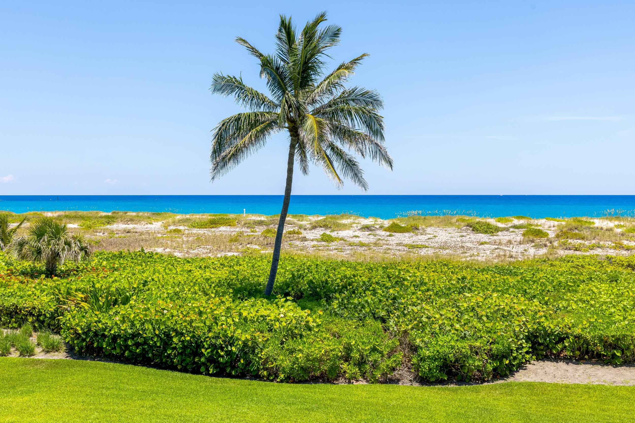 1446 N Ocean, Palm Beach FL 33480