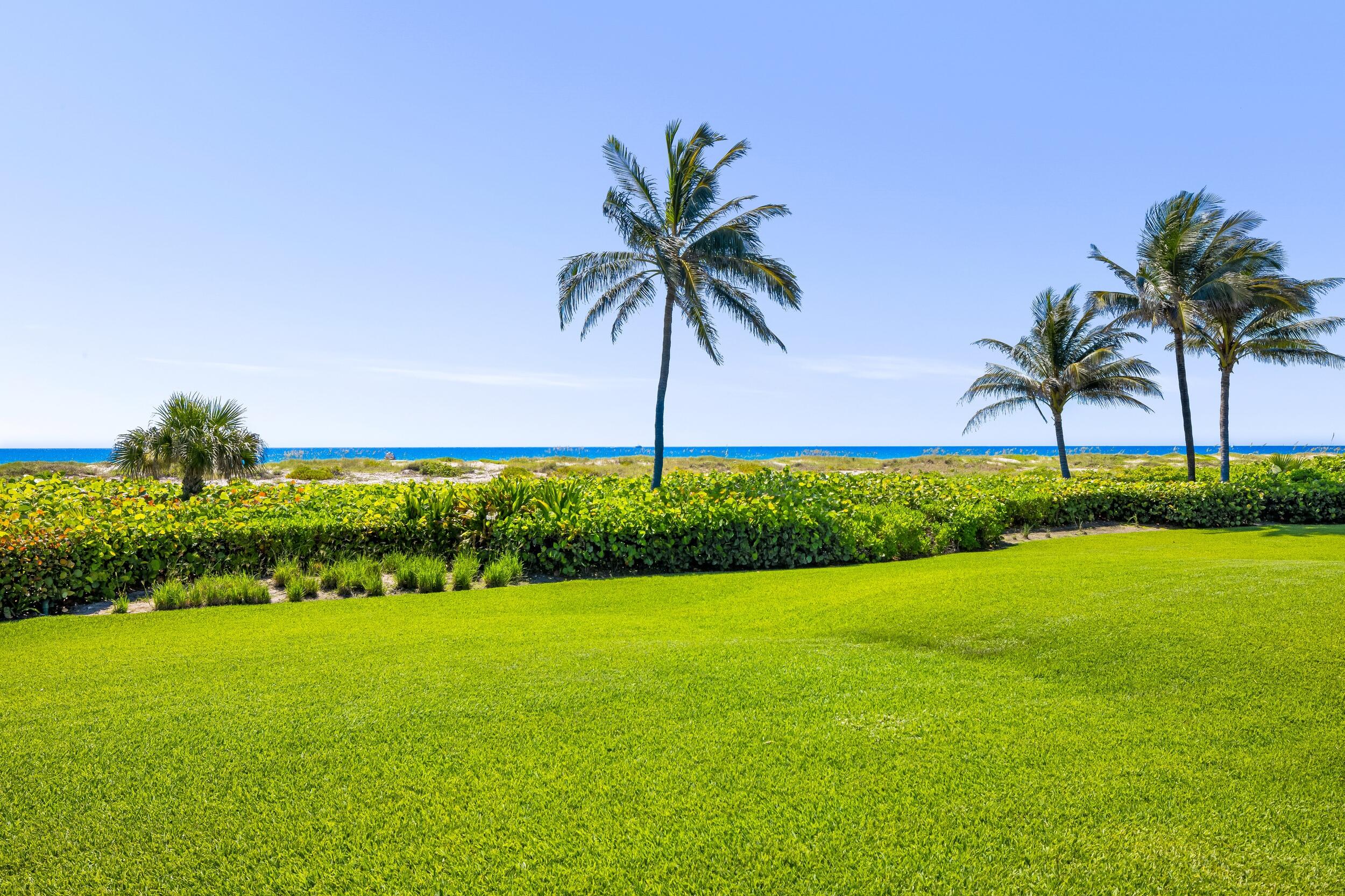 1446 N Ocean, Palm Beach FL 33480