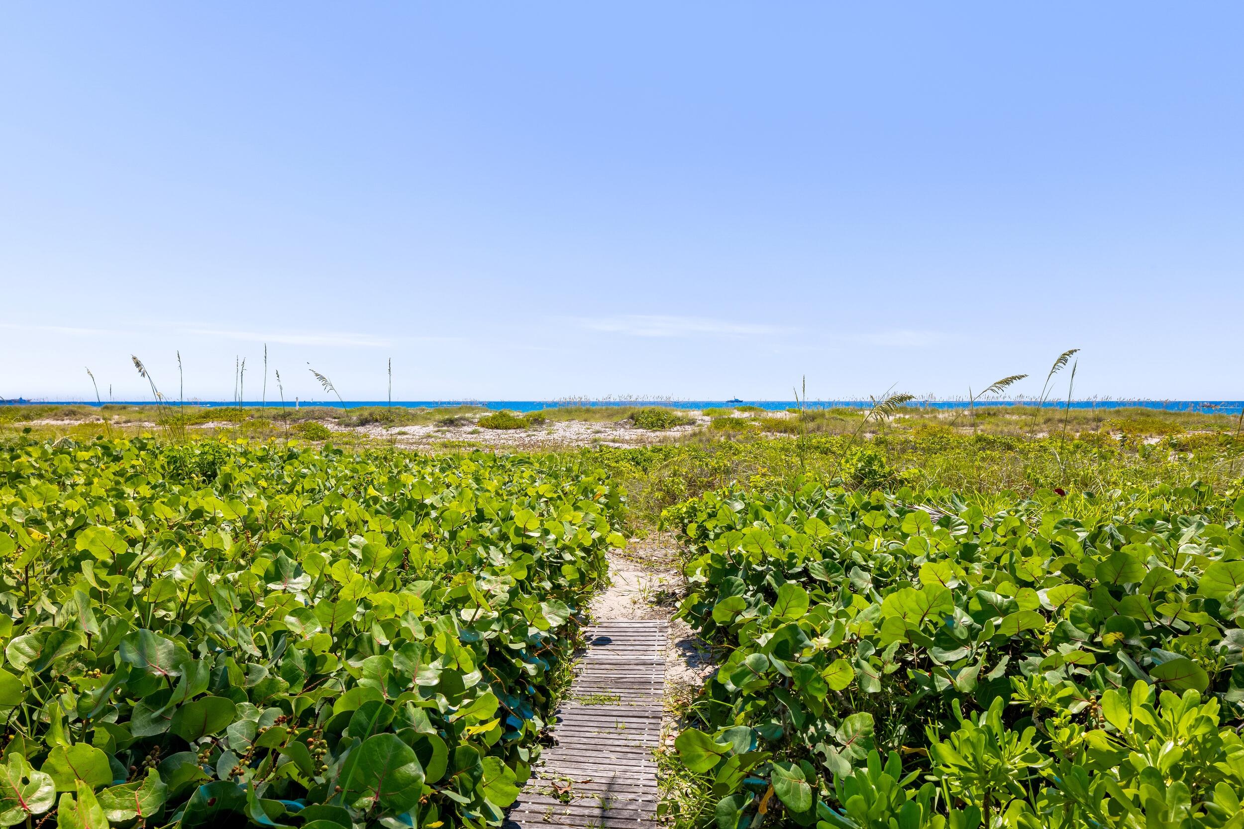 1446 N Ocean, Palm Beach FL 33480