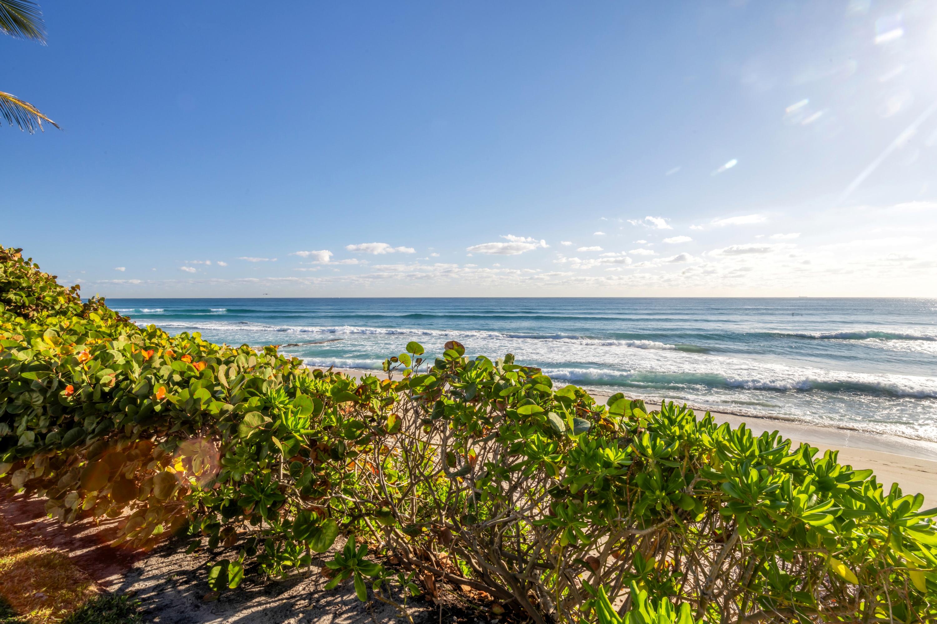 6201 N Ocean, Ocean Ridge FL 33435