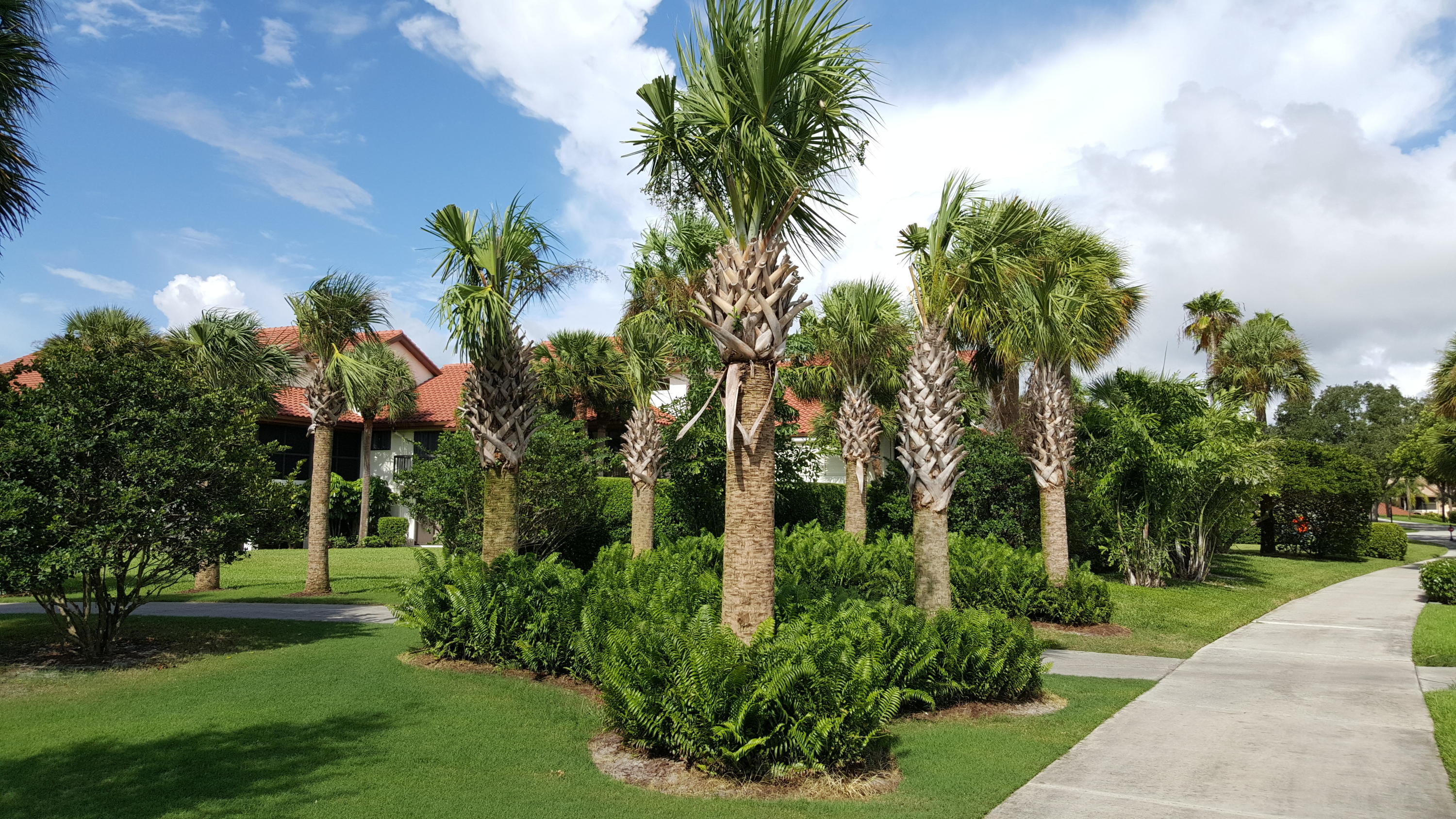 16600 S Traders #255, Jupiter FL 33477